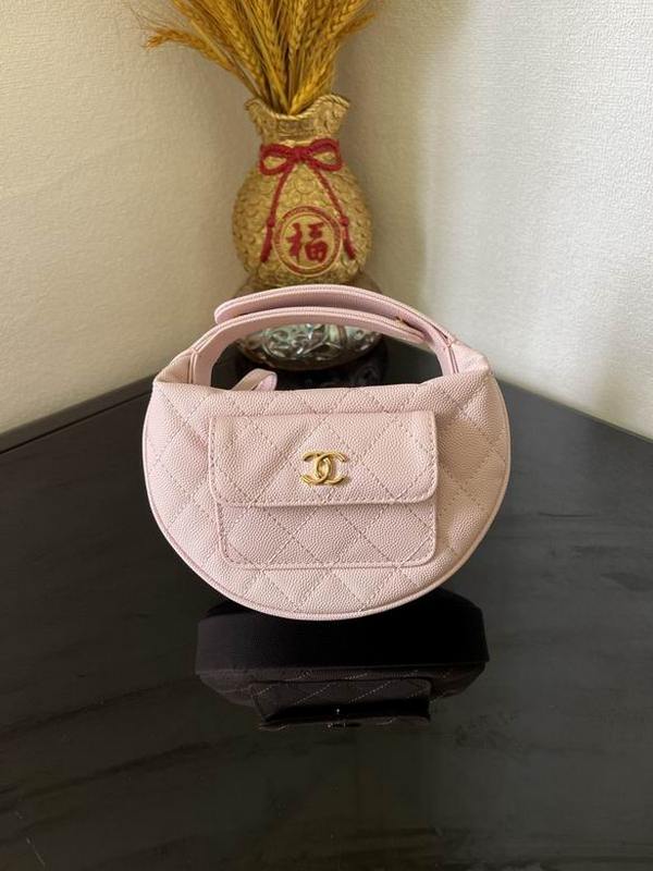 Chanel Handbags 173